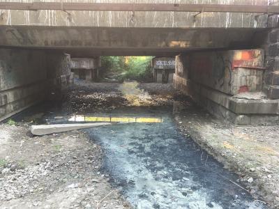 Прикрепленное изображение: IMG_9411.jpeg